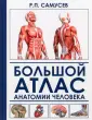 Агеева Валентина Анатольевна