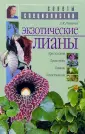 Иванова Зинаида