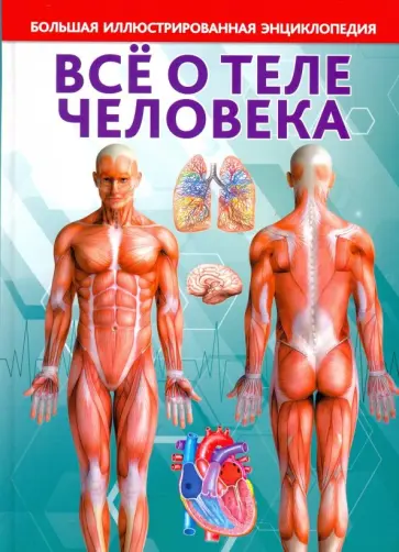 Всё о теле человека. Большая иллюстрированная энциклопедия обложка книги