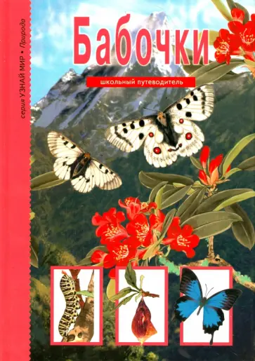 Юлия Дунаева - Бабочки Юлия Дунаева - Бабочки обложка книги