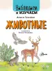 Миниатюра 2