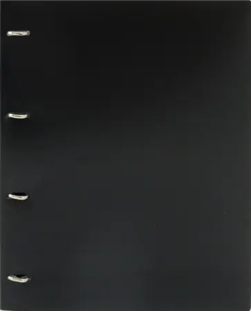 Папка на 4-х D-кольцах "Black&White", А4 (BW0840/4Dblck) обложка книги