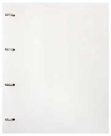Папка на 4-х D-кольцах "Black&White", А4 (BW0840/4Dwt) обложка книги