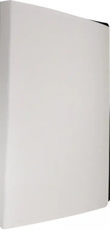 Папка с зажимом "Black&White", А4 (BWPZ08Cwt) Папка с зажимом "Black&White", А4 (BWPZ08Cwt) обложка книги