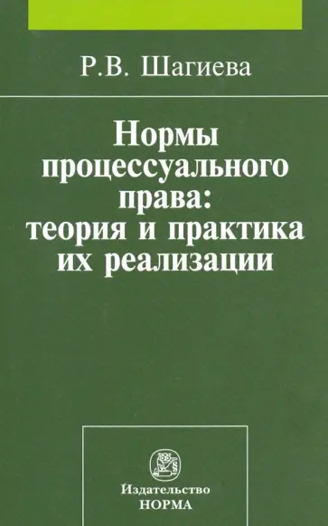 Розалина Шагиева - Нормы процессуального права. Теория и практика их реализации Розалина Шагиева - Нормы процессуального права. Теория и практика их реализации обложка книги