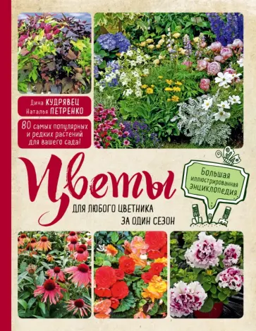 Кудрявец, Петренко - Цветы для любого цветника за один сезон. Большая иллюстрированная энциклопедия обложка книги