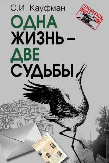 Семен Кауфман - Одна жизнь - две судьбы обложка книги