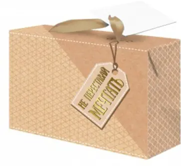 Пакет-коробка "Не переставай мечтать" (22,5x13,5x20 см) ( 79680) обложка книги