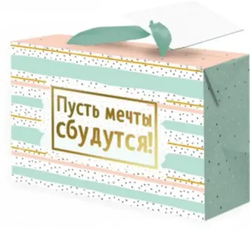 Пакет-коробка "Мечты" (22,5x13,5x20 см) (79679) обложка книги