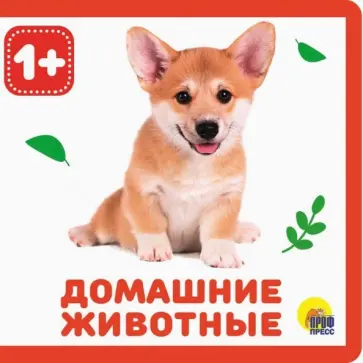 Домашние животные обложка книги