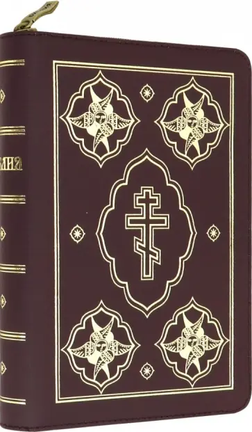 Библия (вишневая, на молнии, золотой обрез) обложка книги