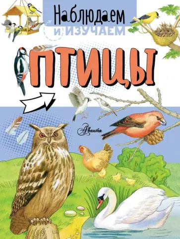 Алиса Ткачева - Птицы обложка книги