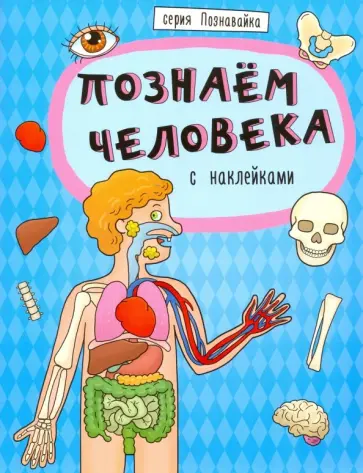 Книжка "Познавайка" ПОЗНАЕМ ЧЕЛОВЕКА (44060) Книжка "Познавайка" ПОЗНАЕМ ЧЕЛОВЕКА (44060) обложка книги