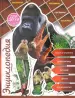 Миниатюра 1