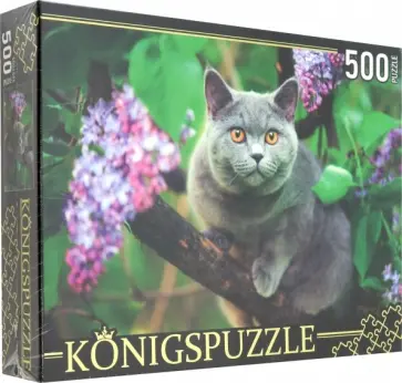 Puzzle-500 "Британская голубая кошка" (ГИК500-8303) обложка книги
