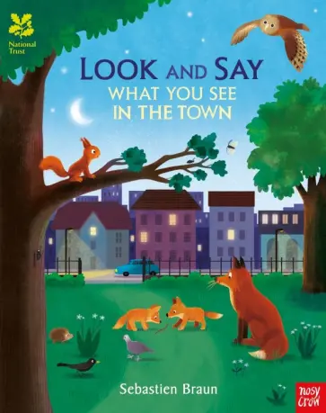 Look and Say. What You See in the Town обложка книги