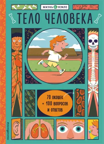Хезер Александр - Тело человека (с окошками) Хезер Александр - Тело человека (с окошками) обложка книги