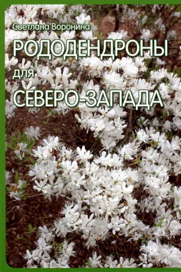 Светлана Воронина - Рододендроны для Северо-Запада обложка книги