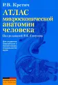Крстич Радивой В.