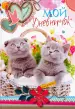 Миниатюра 1