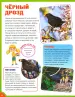 Миниатюра 2