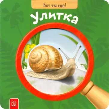 Вот ты где! Улитка обложка книги