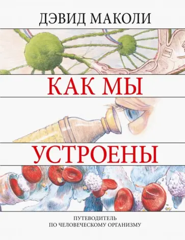 Маколи, Уокер - Как мы устроены. Путеводитель по человеческому организму Маколи, Уокер - Как мы устроены. Путеводитель по человеческому организму обложка книги