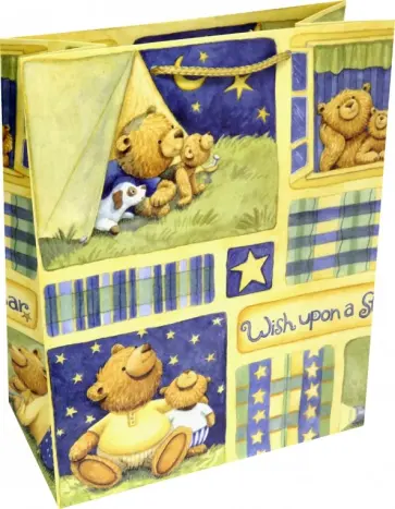 Пакет подарочный ламинированный (264х327х136 мм) (L-3225) обложка книги