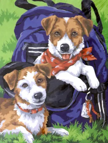 Раскраска по номерам ДВЕ СОБАКИ 30*40см (S 3753) Раскраска по номерам ДВЕ СОБАКИ 30*40см (S 3753) обложка книги