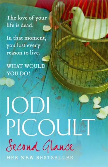 Jodi Picoult - Second Glance Jodi Picoult - Second Glance обложка книги