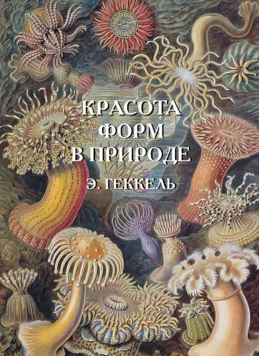 Красота форм в природе. Э. Геккель Красота форм в природе. Э. Геккель обложка книги