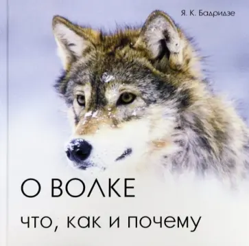 Ясон Бадридзе - О волке. Что, как и почему обложка книги