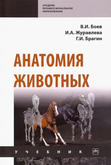 Боев, Журавлева - Анатомия животных. Учебник обложка книги
