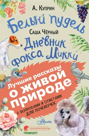 Онлайн консультация ветеринара — лечение собак | Ветеринарная клиника МегаВет - Челябинск