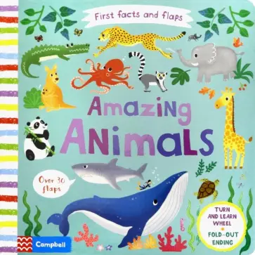 Amazing Animals обложка книги