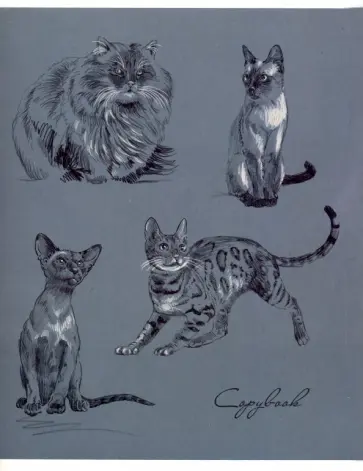 Тетрадь общая "Кошки" (96 листов, А5, клетка, в ассортименте) (49545) обложка книги