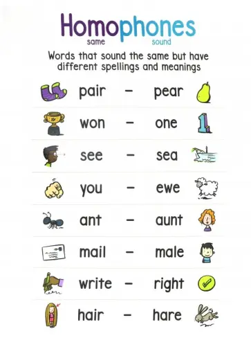 Anchor Chart: Homophones обложка книги