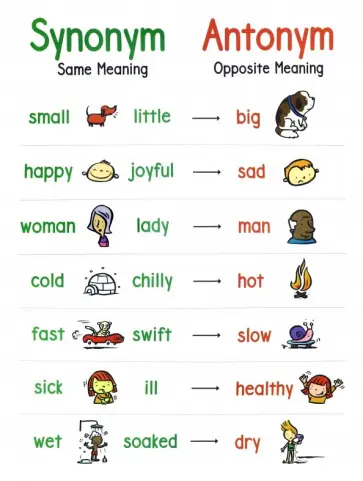 Anchor Chart: Synonym & Antonym обложка книги