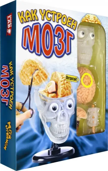 Как устроен мозг обложка книги