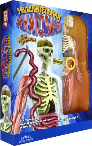 Увлекательная анатомия обложка книги