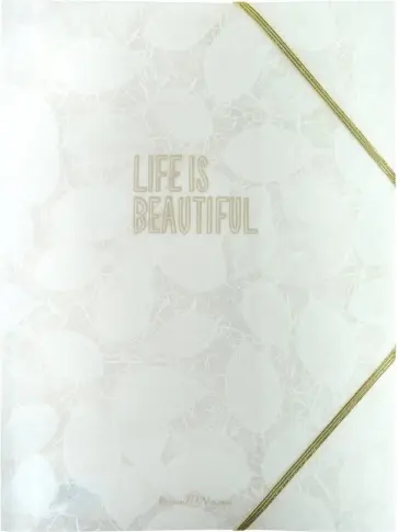 Папка-файл на резинке "Листочки. Перышки" (А4, в ассортименте) (14-039) обложка книги