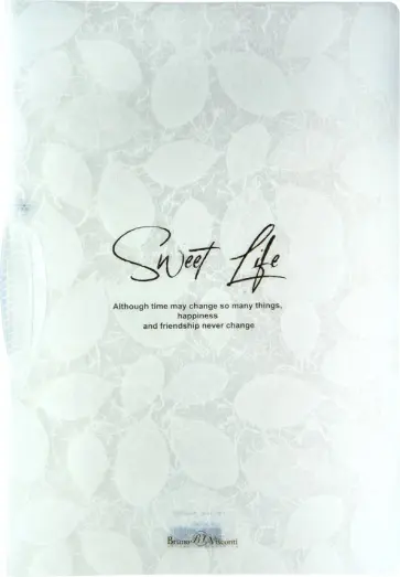 Папка-файл Листочки. Перышки, А4, в ассортименте обложка книги