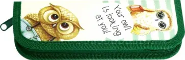 Пенал 1 отделение ЛЮБОПЫТНАЯ СОВА ламинированный картон (ПН-1818) обложка книги