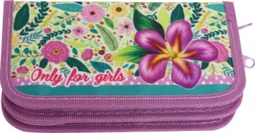 Пенал 2 отделения КРАСИВЫЕ ЦВЕТЫ ДЛЯ ДЕВОЧЕК (ПН-5941) обложка книги