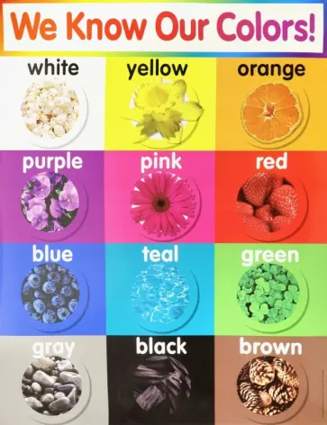 Colors chart обложка книги