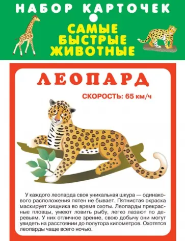 Самые быстрые животные обложка книги