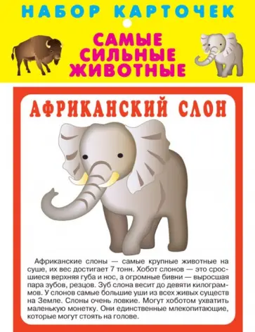 Самые сильные животные обложка книги