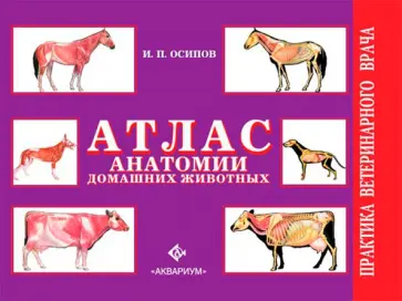Иван Осипов - Атлас анатомии домашних животных Иван Осипов - Атлас анатомии домашних животных обложка книги