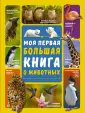 Моя первая большая книга