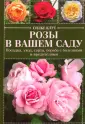 Клут Силке